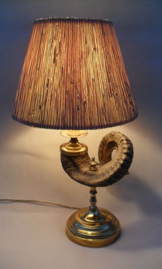 Vintage Rams Horn Brass Table Lamp & Shade Hunting Cabin Den photo