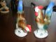 Vintage Dresden Figurine Rooster And Hen Grafenthal Figurines photo 1