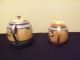 Decorative Sugar With Lid And Creamer Parrot Creamers & Sugar Bowls photo 3