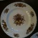 19 Pieces Desire On Royal Wessex Ironstone By Swinnertons England Plates & Chargers photo 2