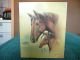 Vintage Cedar Box Horse & Colt Laughlin Nevada Boxes photo 1