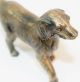 Vintage Art Deco Brass Finished Cast Metal Longhaired Pointer Dog Paperweight Metalware photo 3