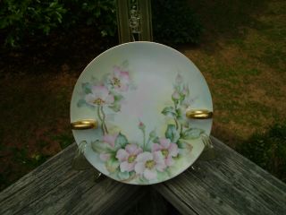 Antique Artist Signed Rosenthal Hand Painted Wild Rose Porcelain Plate 1908+ Ex+ photo
