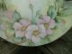 Antique Artist Signed Rosenthal Hand Painted Wild Rose Porcelain Plate 1908+ Ex+ Plates & Chargers photo 1
