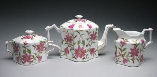 Antique Rare Rs Prussia Hand Painted Tea Set With Early Arrow Mark photo