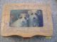 Vintage Dutch German Wooden Box Mirror Wirehair Terrier Pups Music Box Jointed Boxes photo 1