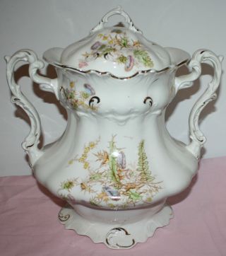Antique Porcelain / China Covered Chamber Pot With Lid - Ornate - Fc Co. photo