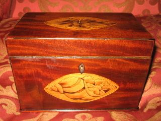 1800s Antique Fabulous Double Shell Mahogany Leaf Inlaid Inlay Tea Caddy Nr photo