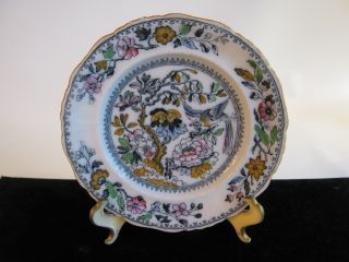 Antique Porcelain Plate Small Dish 1890 Ashworth Bros Hanley England Bird Floral photo