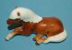 Vintage Japan Porcelain Ceramic Pottery Darling Sorrel Pony Horse Figurine Figurines photo 10