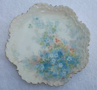 Antique Rosenthal Plate With Delicate Floral Motif photo
