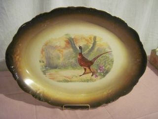 Vintage Or Antique Hand Painted Phasant Plater 17.  5 X 12.  5 photo