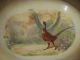 Vintage Or Antique Hand Painted Phasant Plater 17.  5 X 12.  5 Plates & Chargers photo 2
