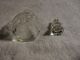 Vinegar Bottle Holder Clear Glass Very Old And From Estate Please Look Bottles photo 4