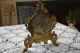 Early 1900 ' S Ornate Westclox Mantle Alarm Clock,  Cast Iron Bronze Finish Clocks photo 4