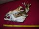 4 Ps Statues Royal Dux Made In Czechoslovakia Figurines photo 4