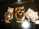 Antique Vintage Serving Tray Real Owl Feathers & 3 Owl Brooches Trays photo 2