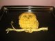Antique Vintage Serving Tray Real Owl Feathers & 3 Owl Brooches Trays photo 5