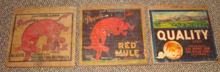 [vintage]~3 Orange Crate Ends~peppers Red Mule & Quality Brands~original photo