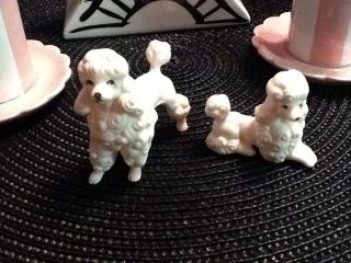 Pink Poodle Figurines In Antque Porcelin - photo