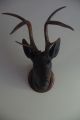 Antique Late 19thc German Black Forest Deer Head Wood Carving With Real Antlers Carved Figures photo 1