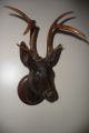 Antique Late 19thc German Black Forest Deer Head Wood Carving With Real Antlers Carved Figures photo 2