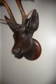 Antique Late 19thc German Black Forest Deer Head Wood Carving With Real Antlers Carved Figures photo 3
