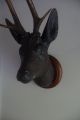Antique Late 19thc German Black Forest Deer Head Wood Carving With Real Antlers Carved Figures photo 4