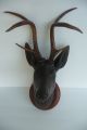 Antique Late 19thc German Black Forest Deer Head Wood Carving With Real Antlers Carved Figures photo 5