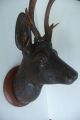 Antique Late 19thc German Black Forest Deer Head Wood Carving With Real Antlers Carved Figures photo 8