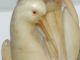 Antique Sensational Alabaster Marble Carved Lg Two Birds Table Lamp Base W Harp Lamps photo 10