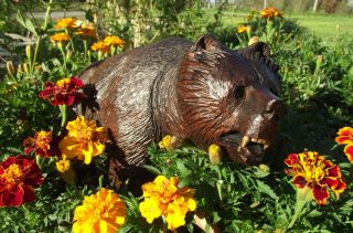Antique Black Forest Finely Hand Carved Wooden Bear W/ Glass Eyes photo
