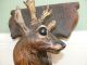 19thc Black Forest Plaque With Oak Carved Stags Head Other photo 5