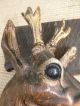 19thc Black Forest Plaque With Oak Carved Stags Head Other photo 7