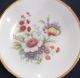 Pair Hutschenreuther Bavaria,  West Germany - Botanical Porcelain Plates Other photo 1