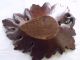 Antique Black Forest Hand Carved Large Tray In The Form Of A Leaf Other photo 6