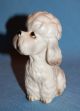 Vintage Porcelain Ceramic Pottery Gorgeous Norcrest Poodle Dog Figurine Figurines photo 6