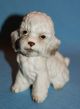 Vintage Porcelain Ceramic Pottery Gorgeous Napco Poodle Dog Figurine Figurines photo 3