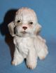 Vintage Porcelain Ceramic Pottery Gorgeous Napco Poodle Dog Figurine Figurines photo 4