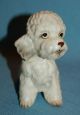 Vintage Porcelain Ceramic Pottery Gorgeous Napco Poodle Dog Figurine Figurines photo 5