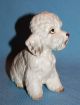 Vintage Porcelain Ceramic Pottery Gorgeous Napco Poodle Dog Figurine Figurines photo 6