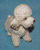 Vintage Porcelain Ceramic Pottery Gorgeous Napco Poodle Dog Figurine Figurines photo 7