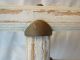 Gorgeous Antique Fluted Wood Floor Easel 60 