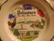 - Delaware - The Blue Hen State - (ceramic Souvenir Plate) The 
