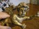 Antique Italian Carved Winged Cherub - Gold Gilded & Fantastic Patina Carved Figures photo 1
