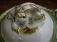 Early Pedestal Bowl With Handles And Lid - Hand Painted Landscapes - Fabulous Bowls photo 3