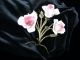 Vtg Antique Italian Tole Decoration Gilt W Pink Porcelain Roses Chic Shabby Toleware photo 10