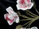 Vtg Antique Italian Tole Decoration Gilt W Pink Porcelain Roses Chic Shabby Toleware photo 1