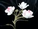Vtg Antique Italian Tole Decoration Gilt W Pink Porcelain Roses Chic Shabby Toleware photo 7