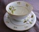 Winterling Demitasse Cup & Saucer Made In Germany Dogwood Flower Gold Leaf Crown Cups & Saucers photo 4